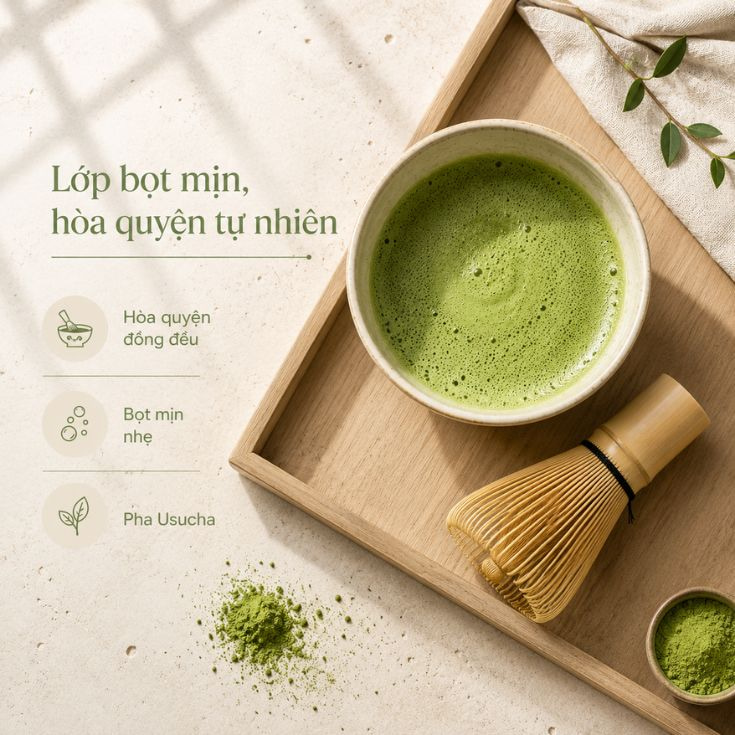 Otung-chuyen-dong-cua-choi-chasen-tao-lop-bot-matcha-min-muot.jpg